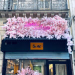 Matcha Gratuit chez Matcha Ochaya – Paris Bons Plans – pour halloween
